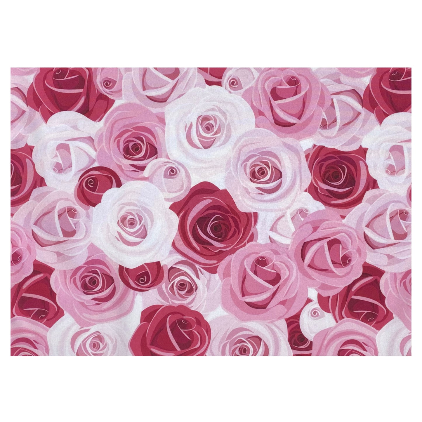 SEBO Microfilter with textile (red/pink, roses) Felix and Dart